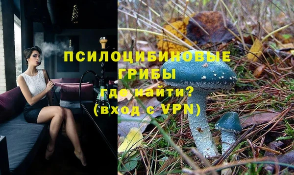 круглые Алексеевка