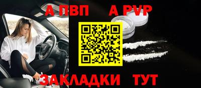 шишки Кандалакша