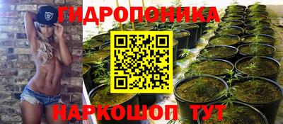 шишки Кандалакша