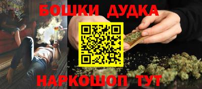 шишки Кандалакша
