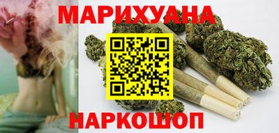 шишки Кандалакша