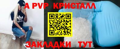 шишки Кандалакша