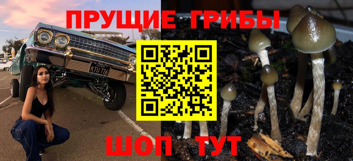 Крымск  Галлюциногенные грибы Psilocybe  Вход с VPN 