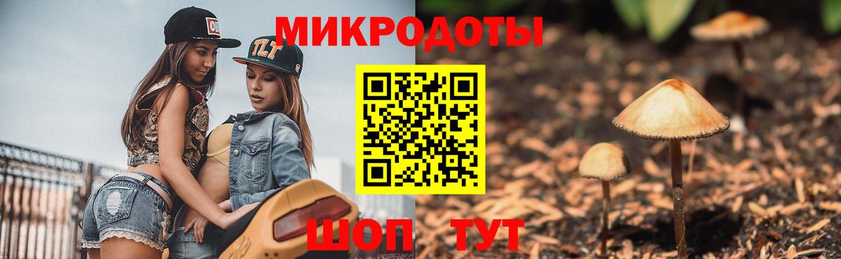 Псилоцибиновые грибы GOLDEN TEACHER Крымск